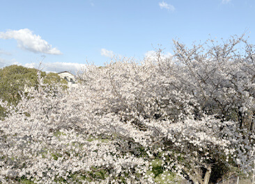 開業して10か月経って思うこと